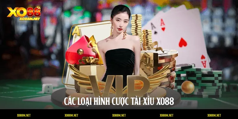Các loại hình cược Tài xỉu XO88